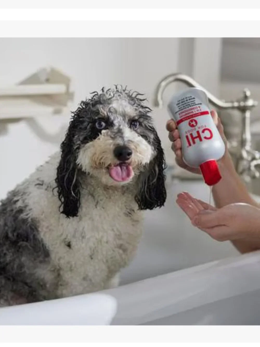 BRAND NEW & UNUSED ~CHI Gentle 2 in 1 Dog Shampoo & Conditioner, 16-fl oz bottle